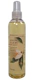 Bath & Body Works White Tea And Ginger Body Splash Pleasures Collection 8 oz
