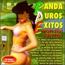 Banda Puros Exitos