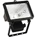 Outdoor Living : Halogen Floodlight (150w Black)
