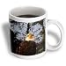Krista Funk Creations Bald Eagles - Bald Eagle Has His Eye On You - Mugs