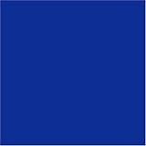  : Russell Athletic Men's Dri-Power Fleece Pocket Pant,Royal,Small