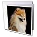   - Dogs Pomeranian - Pomeranian portrait - Greeting Cards-12 Greeting Cards with envelopes