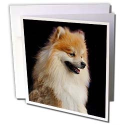 image link - - B000VG3HM6