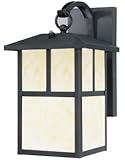 Westinghouse Lighting 6482900 Energy Star Dusk-to-Dawn 1-Light Exterior Steel Wall Lantern, Black