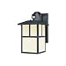 Westinghouse Lighting 6482900 Energy Star One-Light Exterior Wall Lantern with Dusk to Dawn Sensor, Textured Black Finish on Steel