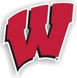 Wisconsin Badgers 12 Car Magnet