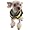 Puppia Soft Dog Harness (Mesh) Pink Small