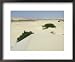 Desert and Sand Dunes in the Middle of the Island of Boa Vista, Cape Verde Islands, A...