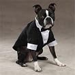 Esc Yappily Ever After Groom Tuxedo Medium