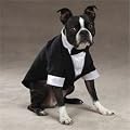 Esc Yappily Ever After Groom Tuxedo Medium