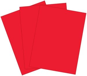 Amazon.com : Roselle Vibrant Construction Paper, 50 count, 9 x12 Inches ...