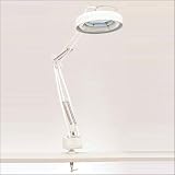 Lite Source LSM-180WHT Mag-Lite One Light Magnifier Lamp in White with 3 Diopters