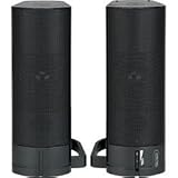 Accoustix 2.0 USB Speakers