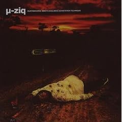 Mu-Ziq - Duntisbourne Abbots Soulmate Devastation Technique (2007)