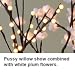 Lighted Pussy Willow Branch - 60 Bulbs