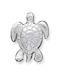 Sterling Silver Turtle Slide