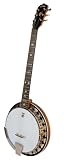 Deering B6 6-String Banjo