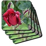Red Rose Floral - Set Of 4 Coasters - Soft