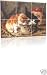 HAND DECORATED KITTENS LICKING FROM A CUP CERAMIC MURAL TILE 6 CERAMIC TILES