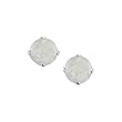 14K White Gold Prong Set 5 MM Opal Earring Studs