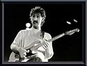 Art Poster Metal Framed Print - Frank Zappa - The Rocker - Artist: Eric Hartline- Poster Size: 11 X 14
