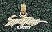 San Jose State Spartans 1/4 Charm/Pendant -14K/10K, Stainless Steel or Gold Plated