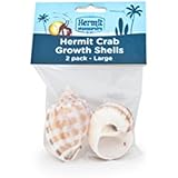 Flukers Hermit Crab Growth Shells, Large, 2-Pack