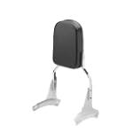 2002 Honda Shadow ACE 750 Flame Backrest Sissy Bar
