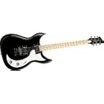 Richmond Dorchester Black with Maple Fingerboard