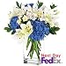 Flowers - Glory