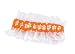 Clemson Garter - Clemson University Orange Garter With Tiger Paw Logo ...