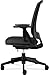 HON Lota Mid-Back Work Chair with Mesh Back for Office or Computer Desk, Black
