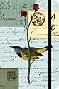 Cavallini Bird Collage Notebook Small 4 x 6