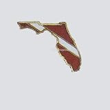 Florida Collectible Scuba Diving Pin