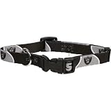 Oakland Raiders NFL dog pet sports collar SM 10-14"