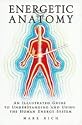 Energetic Anatomy: An Illustrated Guide to Understanding and Using the Human Energy System