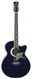 Luna Fauna Luna Moth Acoustic Guitar