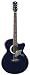 Luna Fauna Luna Moth Acoustic Guitar