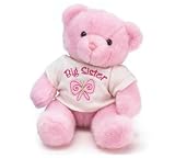 Big sister pink bear