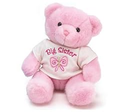 Big sister pink bear