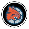 Charlotte Bobcats Color Auto Emblem