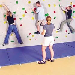 8' X 4' Traverse Climbing Panel (EA)