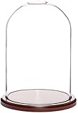 Plymor Brand Glass Doll Display Dome with Walnut Base - 8" x 12"