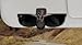 Mossy Oak Brand Camouflage Sunvisor Sunglass Clip