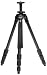 Photo : Induro Carbon 8x Tripod C-014