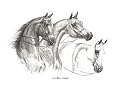 "A Matter of Discipline" Original Drawing by Shivak