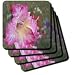 Gladiolus - Set Of 4 Ceramic Tile Coasters