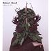 Fabric 39