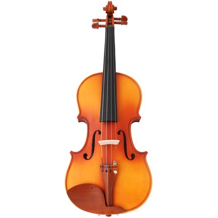 Austin Bazaar VA 450 Viola with Carrying Case and Accessories   16 Inches