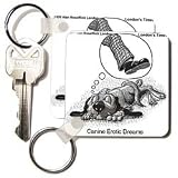 Londons Times Funny Dogs Cartoons - Erotic Dog Dreams - Key Chains